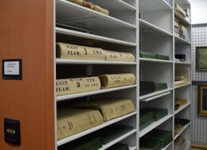 Archive Storage Shelves